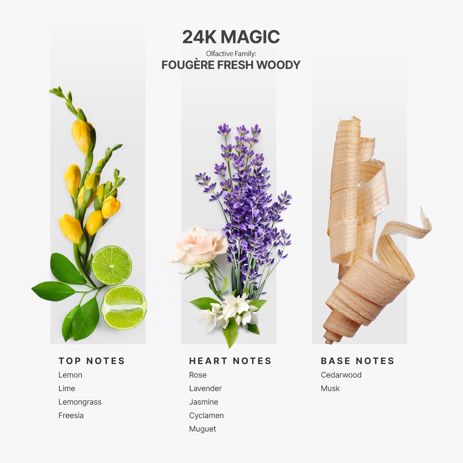 Fragrance Kit - Best sellers Samples + 24K Magic Fragrance Bottle