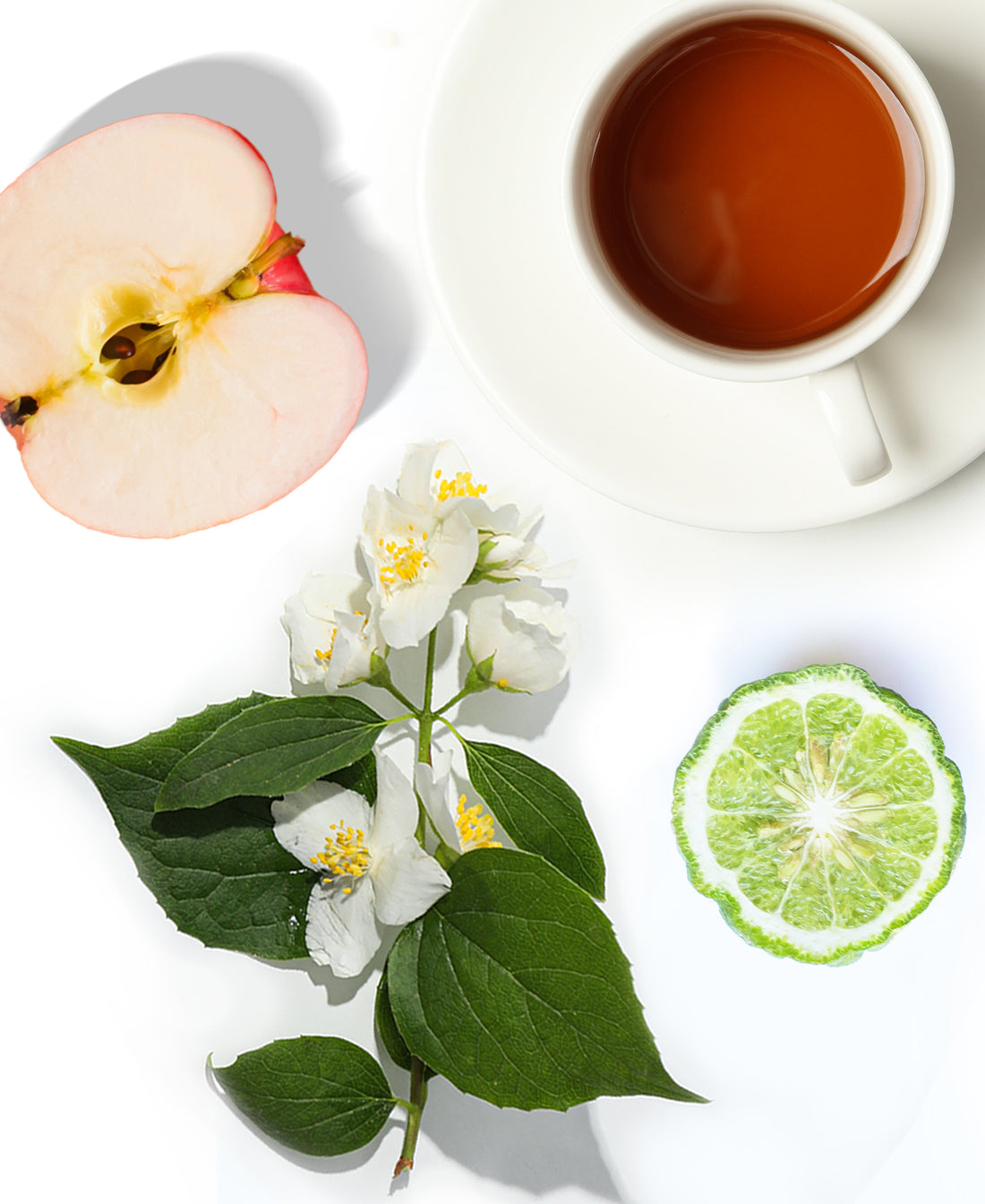 AP059 - Scents White Tea &amp; Fig