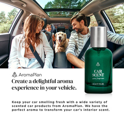 Kit Spray Fragrance Dream On - Car Scent and Fabric &amp; Room Spray